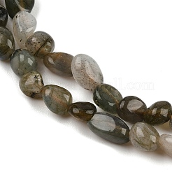 Natural Labradorite Beads Strands&nbsp;G-C250-03