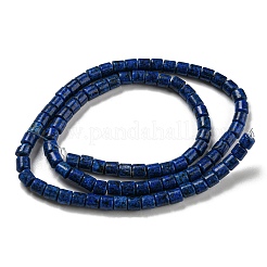 Natural Lapis Lazuli Beads Strands&nbsp;G-C084-A05-01