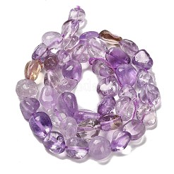 Natural Ametrine Beads Strands&nbsp;G-P497-01E-50