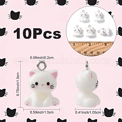 10Pcs Opaque Resin Pendants&nbsp;RESI-YW0004-51