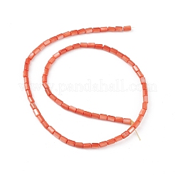 Natural Freshwater Shell Dyed Beads Strands&nbsp;SHEL-M018-12-02