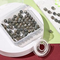 100Pcs 8mm Grade AA Natural  Labradorite Round Beads&nbsp;DIY-LS0002-58