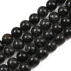 Natural Seraphinite Beads Strands&nbsp;G-H337-A03-04