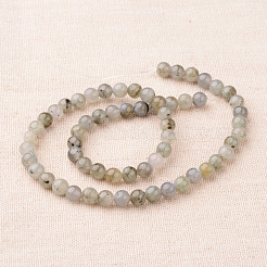 Natural Labradorite Round Beads Strands&nbsp;G-I168-04-6mm