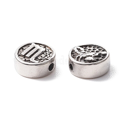 304 Stainless Steel Beads&nbsp;STAS-J033-01C
