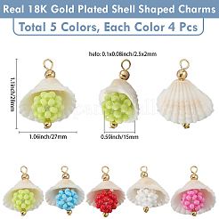 20Pcs 5 Colors Clam Shell & Glass Seed Beaded Pendants&nbsp;FIND-BBC0004-23