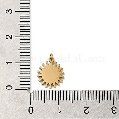304 Stainless Steel Charms&nbsp;STAS-K263-06G-03