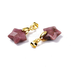 Natural Rhodonite Charms&nbsp;G-N326-142-05