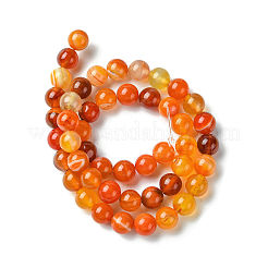 Natural Striped Agate/Banded Agate Beads Strands&nbsp;G-I254-03B-02
