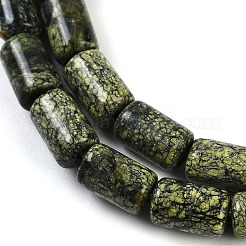 Natural Serpentine/Green Lace Stone Beads Strands&nbsp;G-H064-B01-01