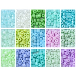 DIY Column Glass Seed Beads Bracelets Making Kits&nbsp;SEED-FS0001-38