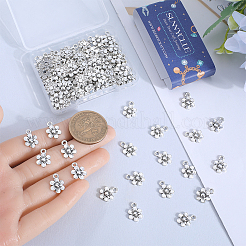 100Pcs Tibetan Style Alloy Charms&nbsp;FIND-SC0010-75B