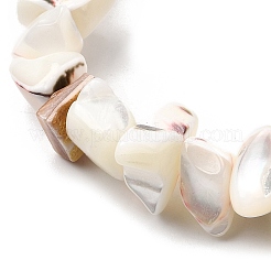 Natural Trochid Shell/Trochus Shell Beads Strands&nbsp;SHEL-B003-02J