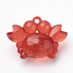 Transparent Acrylic Pendants&nbsp;TACR-T002-14
