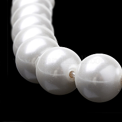 Shell Pearl Beads Strands&nbsp;X-BSHE-S301-10mm-04
