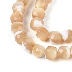 Natural Trochid Shell/Trochus Shell Beads Strands&nbsp;BSHE-T014-53