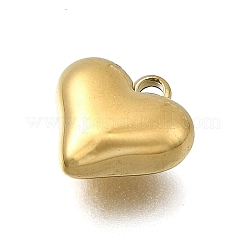 304 Stainless Steel Charms&nbsp;STAS-Z163-03G
