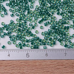 MIYUKI Delica Beads&nbsp;SEED-X0054-DB0919