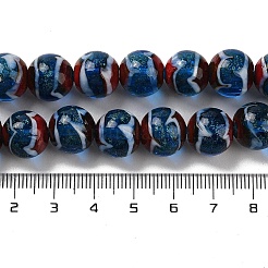 Handmade Lampwork Beads Strands&nbsp;LAMP-P062-02C