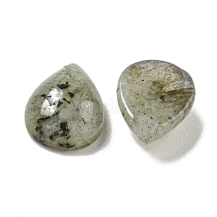 Natural Labradorite Cabochons&nbsp;G-Q173-02C-07