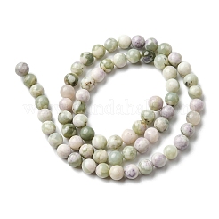 Natural Peace Jade Beads Strands&nbsp;G-E598-04C