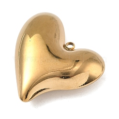 304 Stainless Steel Pendants&nbsp;STAS-K322-19G