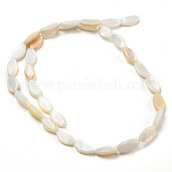 Natural Freshwater Shell Beads Strands&nbsp;BSHE-Z005-05