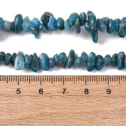 Natural Apatite Beads Strands&nbsp;X-G-F666-01B-02-01