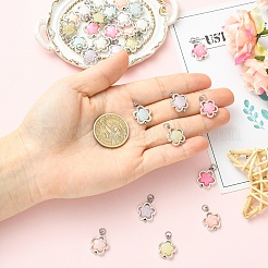 30Pcs Transparent Acrylic & Alloy Pendants&nbsp;PALLOY-YW00181