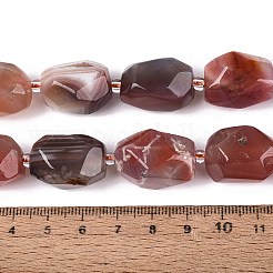 Natural Red Botswana Agate Beads Strands&nbsp;G-N362-07A-06