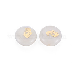 Natural Freshwater Shell Beads&nbsp;SHEL-S278-051