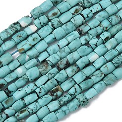 Dyed Natural Crackle Turquoise Beads Strands&nbsp;G-K365-G03-02