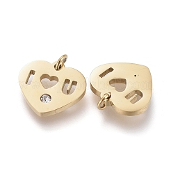 316 Surgical Stainless Steel Charms&nbsp;STAS-I164-036G