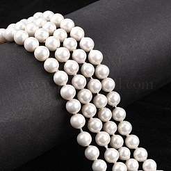 Shell Bead Strands&nbsp;BSHE-R146-6mm-02
