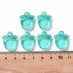 Transparent Acrylic Pendants&nbsp;TACR-S154-28B-68