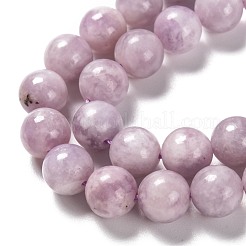 Natural Lepidolite Beads Strands&nbsp;G-H247-11D