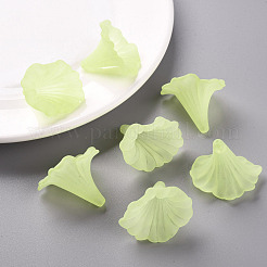 Transparent Acrylic Beads&nbsp;BSF796-C17