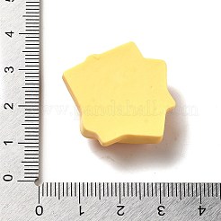 Opaque Resin Imitation Food Decoden Cabochons&nbsp;X-CRES-H001-03H