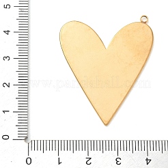 304 Stainless Steel Pendants&nbsp;SA-CBA50C9-06G