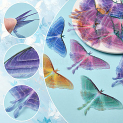 20Pcs 5 Colors Cloth Simulation Gauze Butterfly Ornament Accessories&nbsp;DIY-SP0005-69