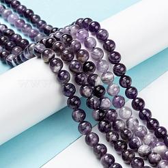 Natural Chevron Amethyst Beads Strands&nbsp;G-S030-7.5mm