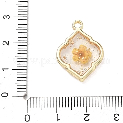 Alloy Epoxy Resin Pendants&nbsp;AL-Z001-08G-01