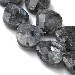 Natural Larvikite Beads Strands&nbsp;G-A309-A18-01