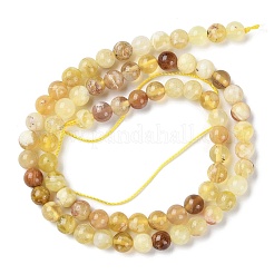 Natural Yellow Opal Beads Strands&nbsp;G-Q1001-A01-01