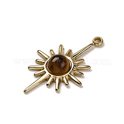 Natural Tiger Eye Pendants&nbsp;STAS-R005-02G
