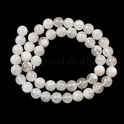 Natural Rainbow Moonstone Beads Strands&nbsp;G-N328-024-8mm-AB
