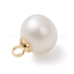 Natural Cultured Freshwater Pearl Round Charms&nbsp;PALLOY-JF04869