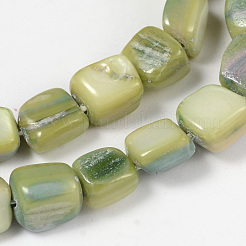 Natural Shell Beads Strands&nbsp;PBB073Y