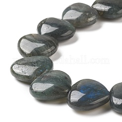 Natural Labradorite Beads Strands&nbsp;G-G996-B11