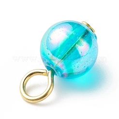 Transparent Acrylic Charms&nbsp;PALLOY-JF01813